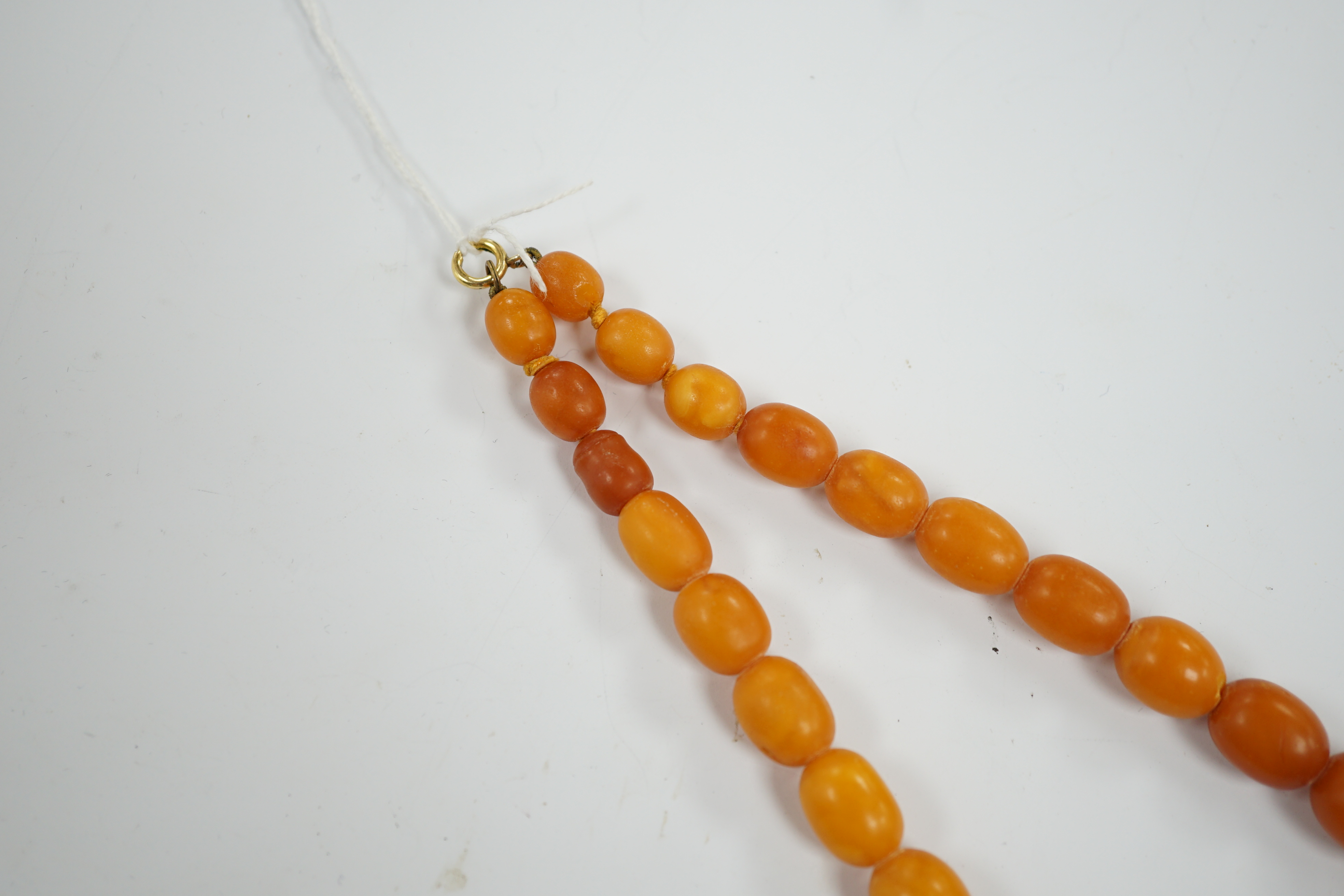 A single strand graduated oval amber bead necklace, 40cm, gross weight 44 grams.